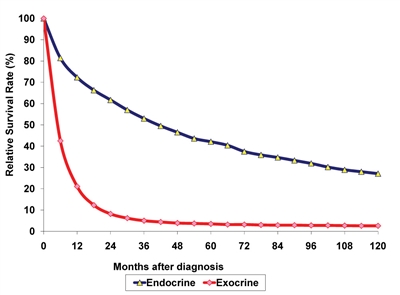 Graph shows relative survival rate (%) at 0−120 months after diagnosis of endocrine and exocrine cancer of the pancreas.