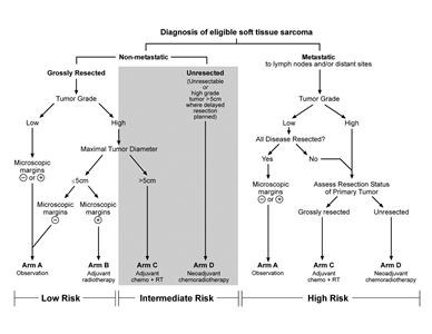 Chart showing risk stratification and treatment assignment for the Children's Oncology Group ARST0332 trial.